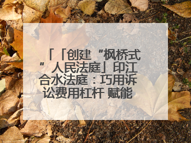 「创建“枫桥式”人民法庭」印江合水法庭：巧用诉讼费用杠杆 赋能先行调解