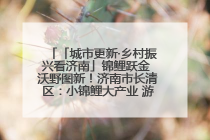 「城市更新·乡村振兴看济南」锦鲤跃金 沃野图新！济南市长清区：小锦鲤大产业 游出农旅新风景
