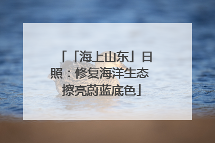 「海上山东」日照：修复海洋生态 擦亮蔚蓝底色