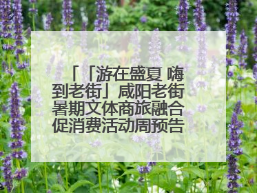 「游在盛夏 嗨到老街」咸阳老街暑期文体商旅融合促消费活动周预告来了！