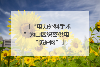 “电力外科手术”为山区织密供电“防护网”