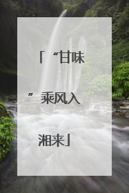 “甘味”乘风入湘来