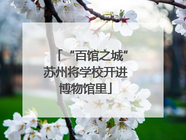 “百馆之城”苏州将学校开进博物馆里