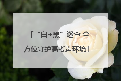 “白+黑”巡查 全方位守护高考声环境