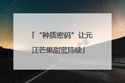 “种质密码”让元江芒果甜蜜持续