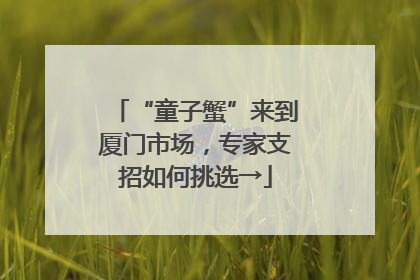 “童子蟹”来到厦门市场，专家支招如何挑选→