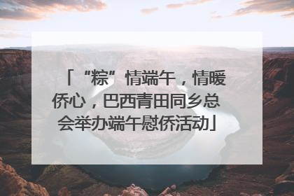 “粽”情端午，情暖侨心，巴西青田同乡总会举办端午慰侨活动