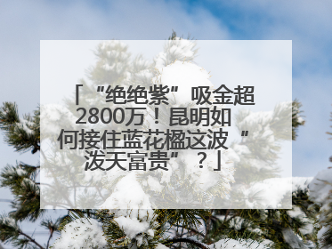 “绝绝紫”吸金超2800万！昆明如何接住蓝花楹这波“泼天富贵”？
