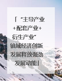“主导产业+配套产业+衍生产业” 镇域经济创新发展释放强劲发展动能