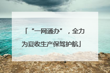 “一网通办”，全力为夏收生产保驾护航