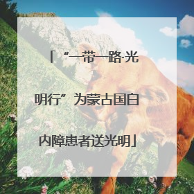 “一带一路·光明行”为蒙古国白内障患者送光明