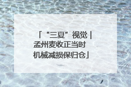 “三夏”视觉|孟州麦收正当时 机械减损保归仓