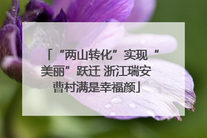 “两山转化”实现“美丽”跃迁 浙江瑞安曹村满是幸福颜