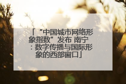“中国城市网络形象指数”发布 南宁：数字传播与国际形象的西部窗口
