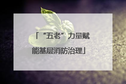 “五老”力量赋能基层消防治理