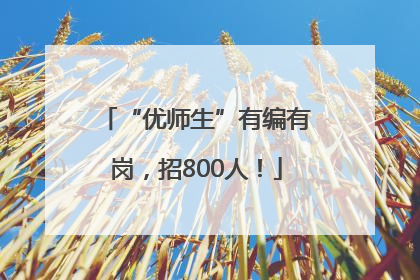 “优师生”有编有岗，招800人！