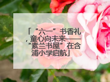“六一”书香礼，童心向未来——“素兰书屋”在含浦小学启航