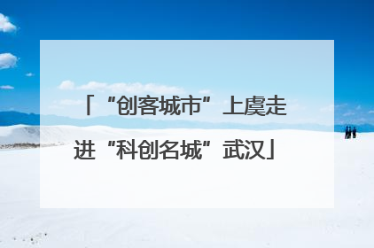 “创客城市”上虞走进“科创名城”武汉