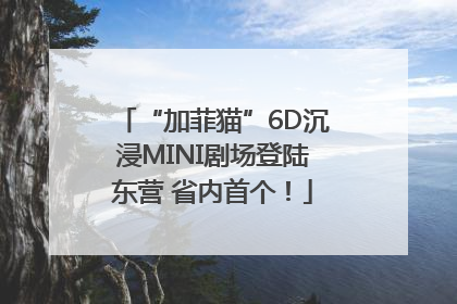 “加菲猫”6D沉浸MINI剧场登陆东营 省内首个！