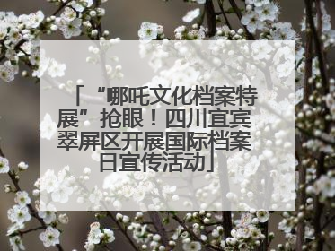 “哪吒文化档案特展”抢眼！四川宜宾翠屏区开展国际档案日宣传活动