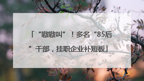 “嗷嗷叫”！多名“85后”干部，挂职企业补短板
