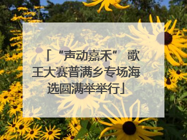 “声动嘉禾” 歌王大赛普满乡专场海选圆满举举行