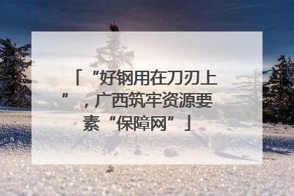 “好钢用在刀刃上”，广西筑牢资源要素“保障网”