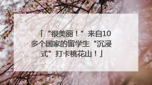 “很美丽！”来自10多个国家的留学生“沉浸式”打卡桃花山！