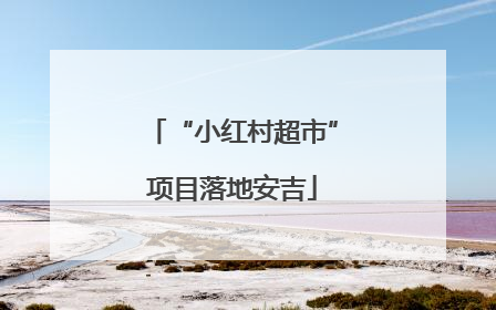 “小红村超市”项目落地安吉
