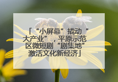 “小屏幕”撬动“大产业”，平原示范区微短剧“剧集地”激活文化新经济