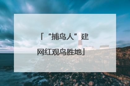 “捕鸟人”建网红观鸟胜地
