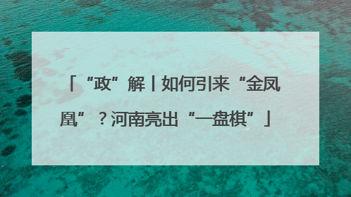 “政”解丨如何引来“金凤凰”？河南亮出“一盘棋”