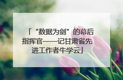 “数据为剑”的幕后指挥官——记甘肃省先进工作者牛学云