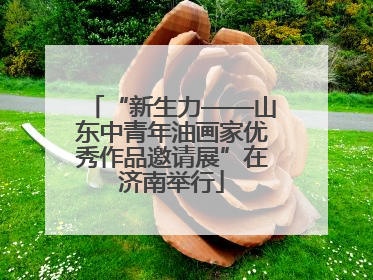 “新生力——山东中青年油画家优秀作品邀请展”在济南举行