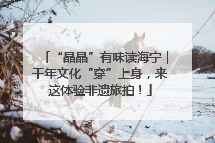 “晶晶”有味读海宁｜千年文化“穿”上身，来这体验非遗旅拍！