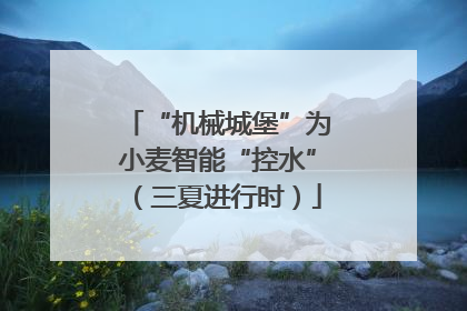 “机械城堡”为小麦智能“控水”（三夏进行时）
