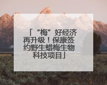 “梅”好经济再升级！保康签约野生蜡梅生物科技项目