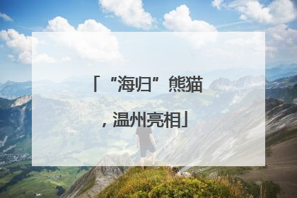 “海归”熊猫，温州亮相