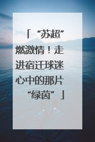 “苏超”燃激情！走进宿迁球迷心中的那片“绿茵”