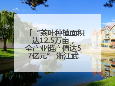 “茶叶种植面积达12.5万亩，全产业链产值达57亿元” 浙江武义茶产业全链发展“加速度”