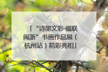“诗墨文彩·福联闽浙”书画作品展（杭州站）精彩亮相