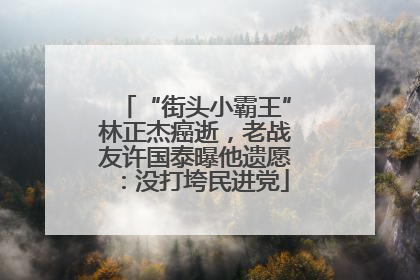 “街头小霸王”林正杰癌逝，老战友许国泰曝他遗愿：没打垮民进党