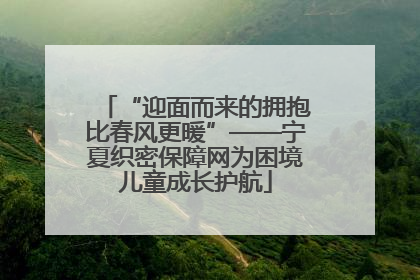 “迎面而来的拥抱比春风更暖”——宁夏织密保障网为困境儿童成长护航