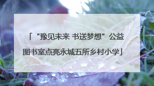 “豫见未来 书送梦想”公益图书室点亮永城五所乡村小学