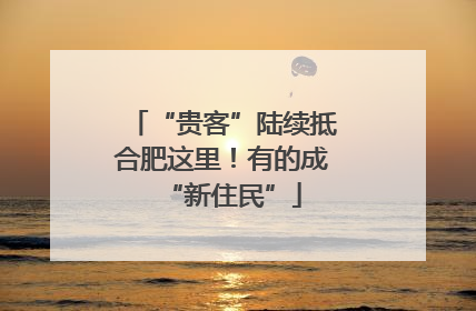 “贵客”陆续抵合肥这里！有的成“新住民”