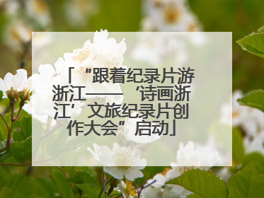 “跟着纪录片游浙江——‘诗画浙江’文旅纪录片创作大会”启动