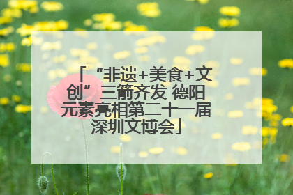 “非遗+美食+文创”三箭齐发 德阳元素亮相第二十一届深圳文博会