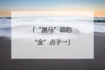 “黑马”县的“金”点子→