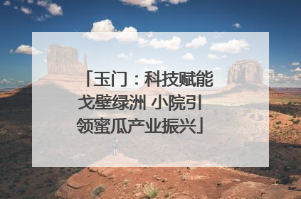 玉门：科技赋能戈壁绿洲 小院引领蜜瓜产业振兴