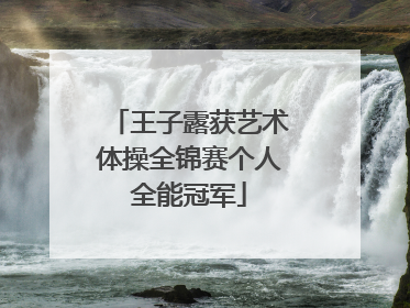 王子露获艺术体操全锦赛个人全能冠军
